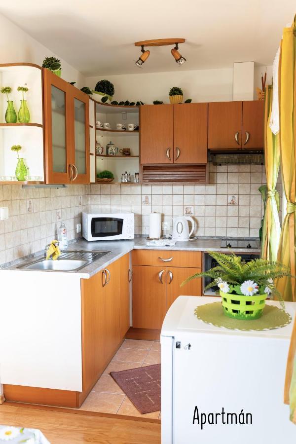 Výprachtice L.V. Appartement Buitenkant foto