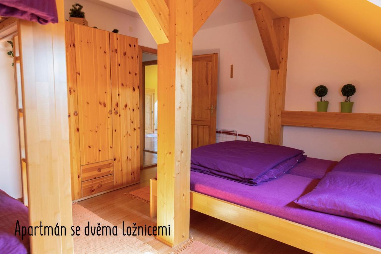 Výprachtice L.V. Appartement Buitenkant foto